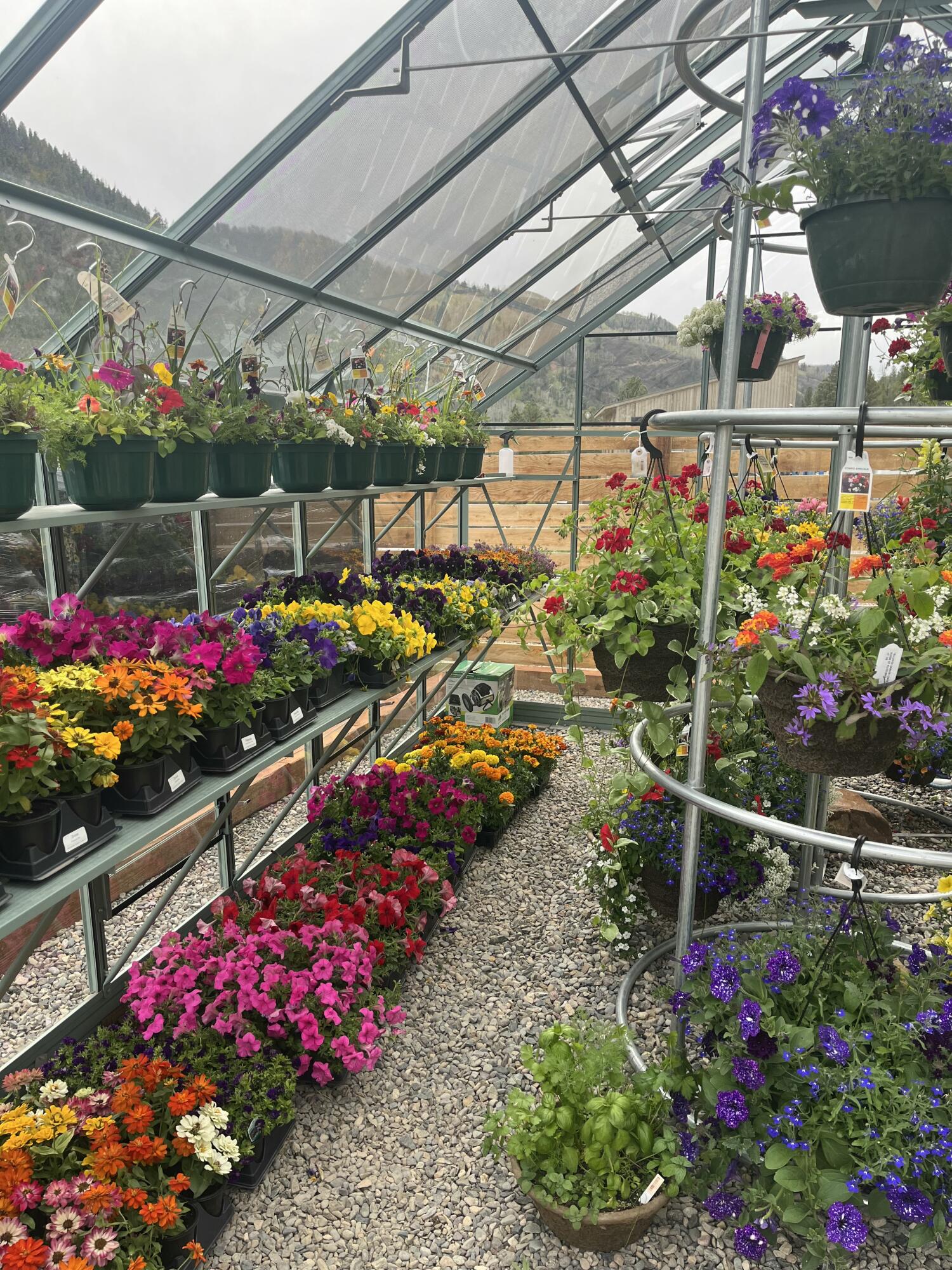 717 South South Park Road Telluride, CO 81435 - Photo 3 of 27 IMG_2387