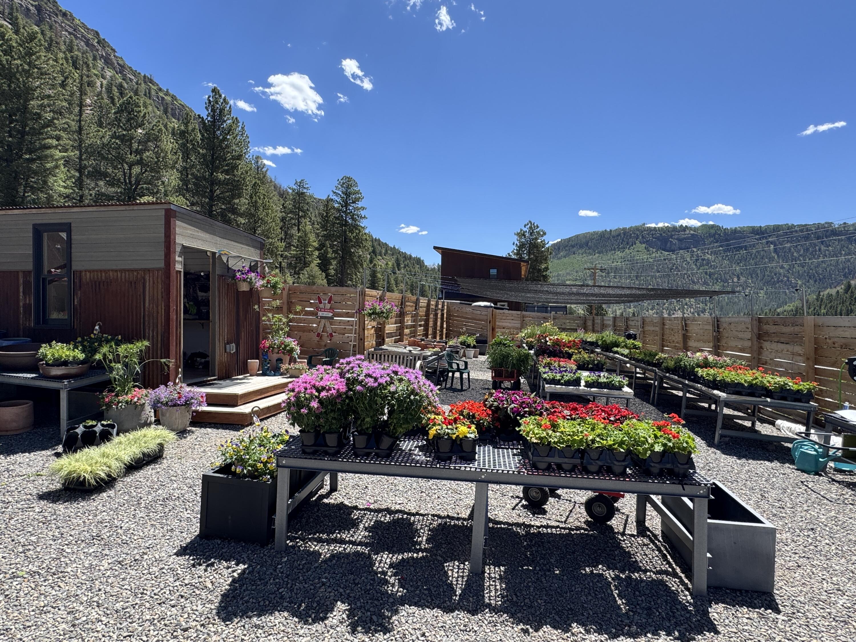 717 South South Park Road Telluride, CO 81435 - Photo 6 of 27 a view of a chairs and tables in patio and a fire pit