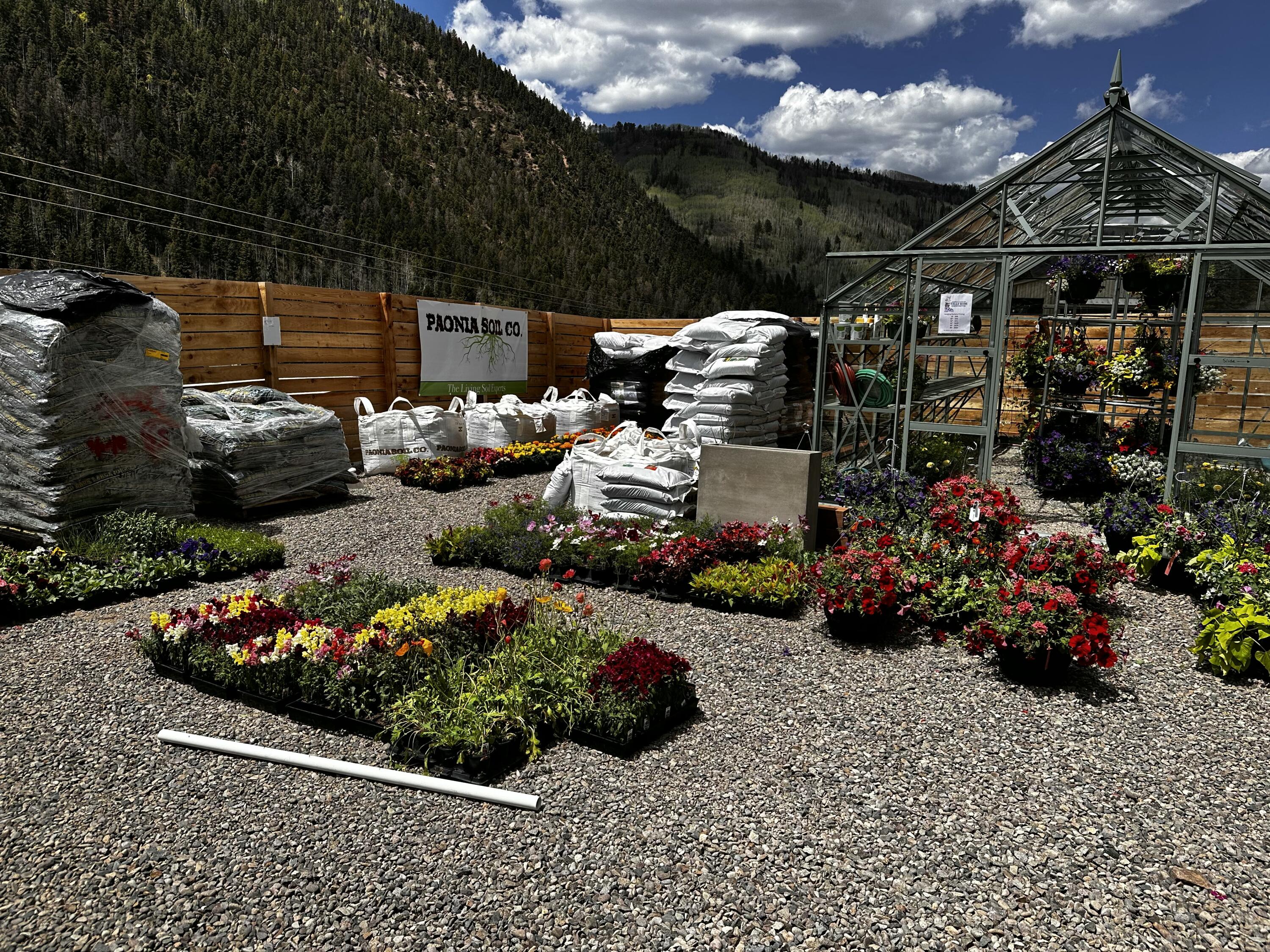 717 South South Park Road Telluride, CO 81435 - Photo 8 of 27 IMG_2210