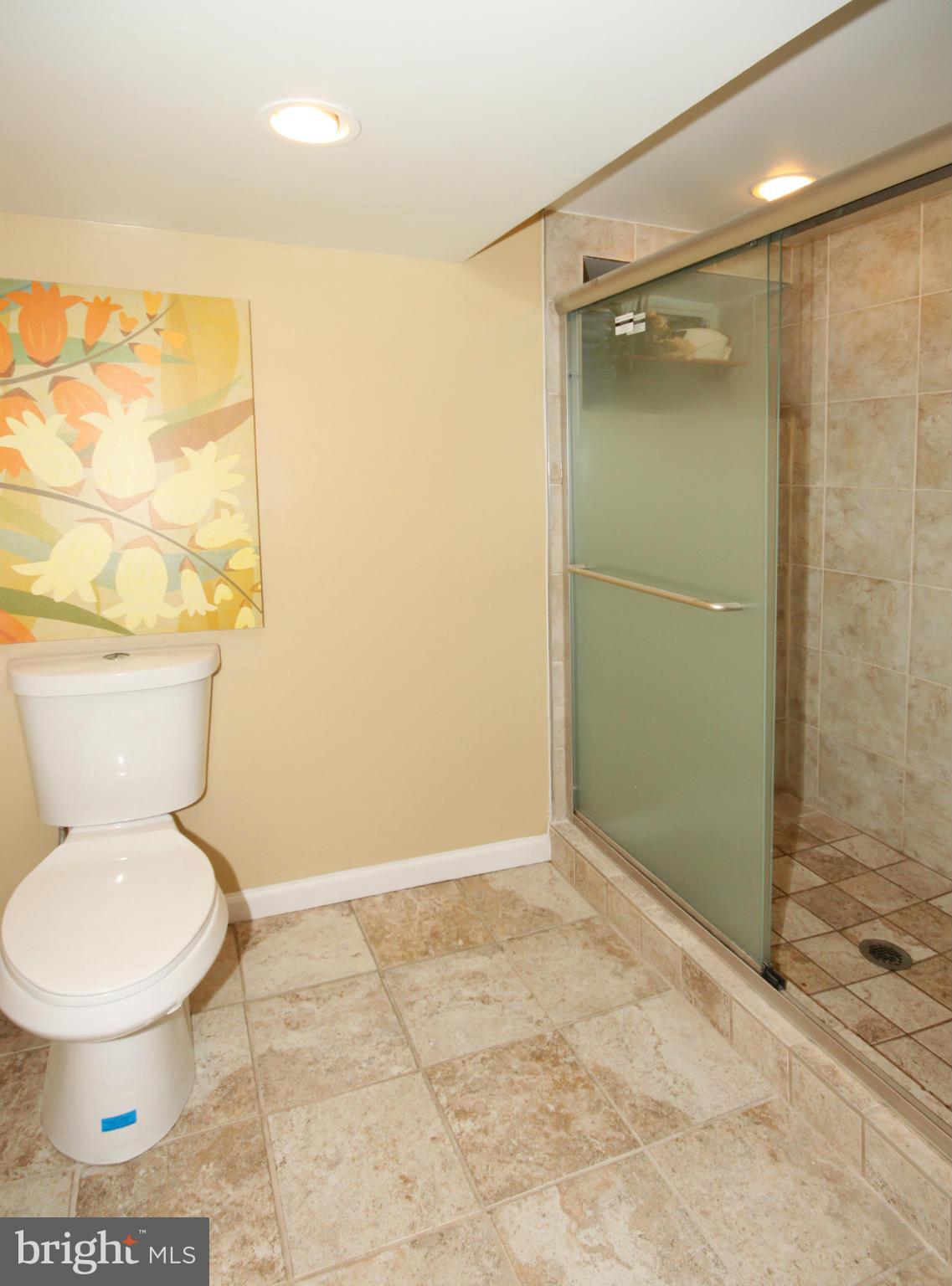 6422 Overhill Road Falls Church, VA 22042 - Photo 22 of 30 Bath (Master)