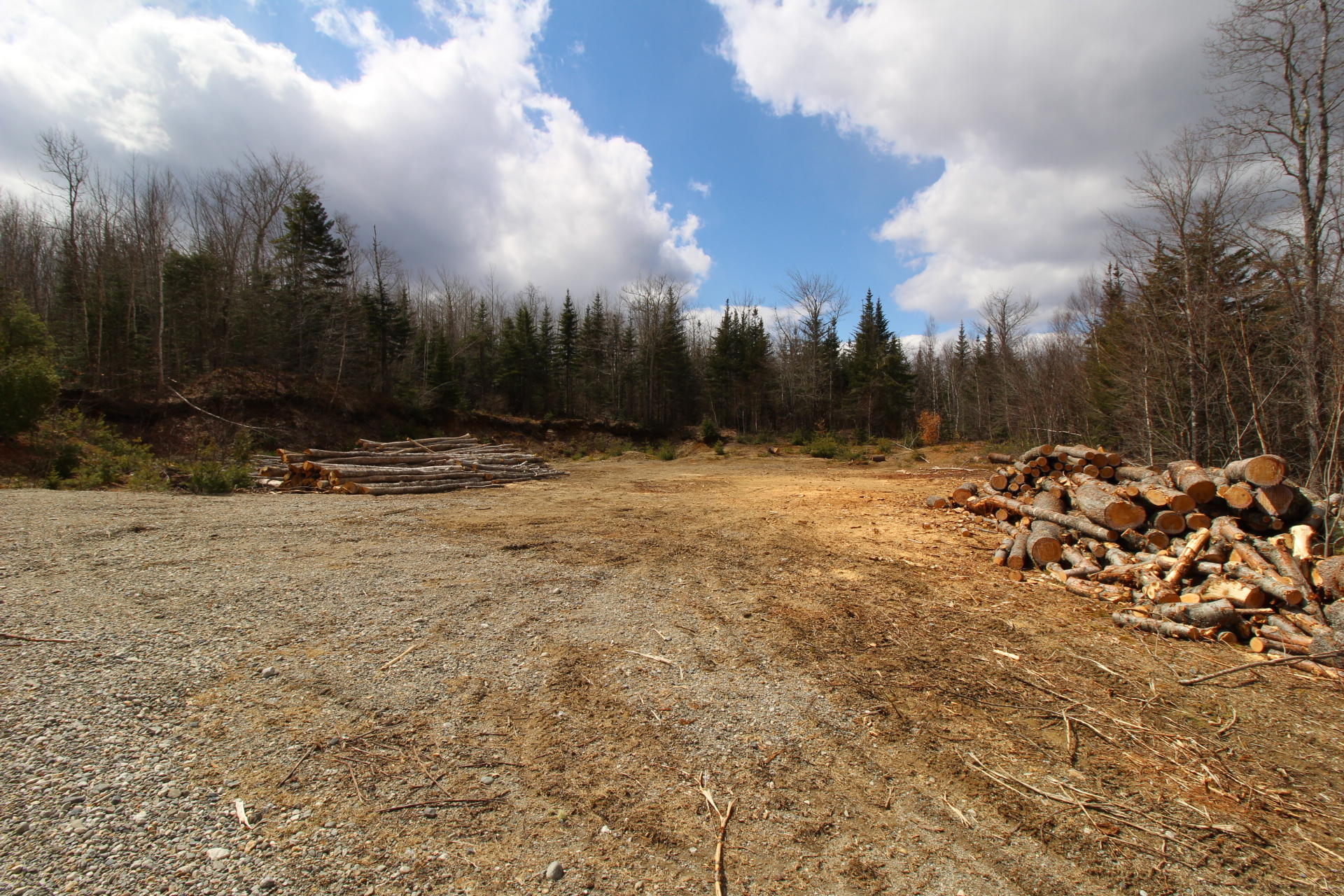 Lot 16 Back Searsport Road Belfast, ME 04915 - Photo 5 of 16 Rutland Back Searsport Rd (50)