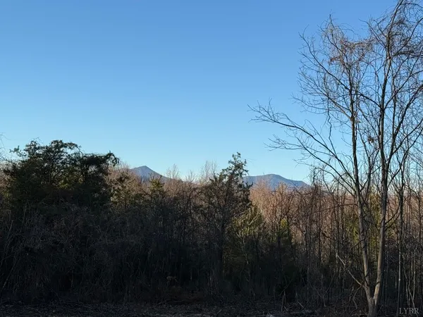 a view of backyard with green space