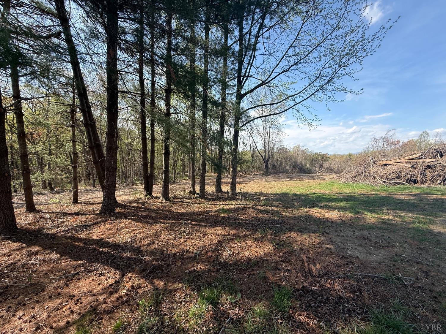 0 Link Road Bedford, VA 24523 - Photo 12 of 17 a view of a yard with large trees