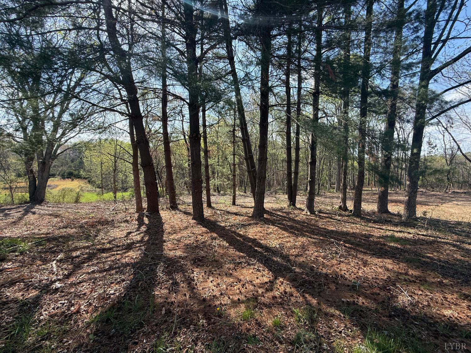 0 Link Road Bedford, VA 24523 - Photo 13 of 17 a view of a backyard with large trees