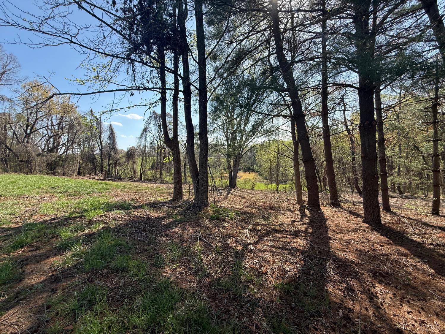 0 Link Road Bedford, VA 24523 - Photo 14 of 17 a view of backyard with tree