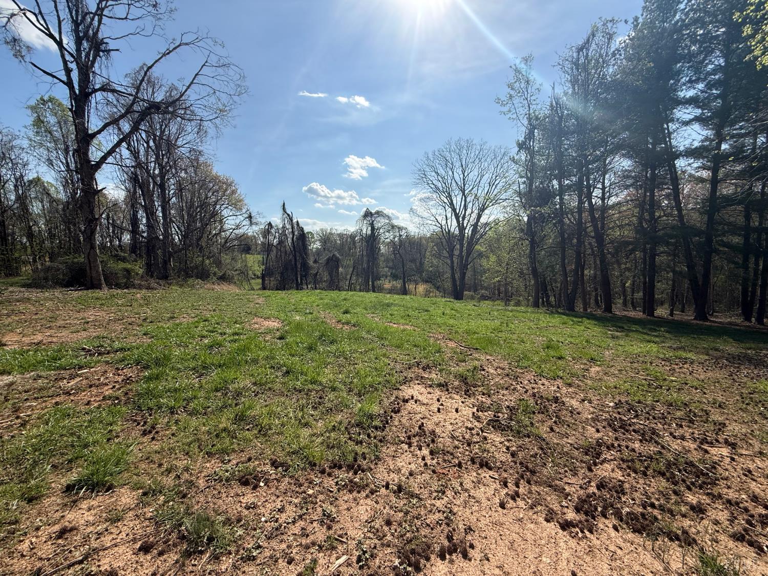 0 Link Road Bedford, VA 24523 - Photo 17 of 17 a view of a field with trees
