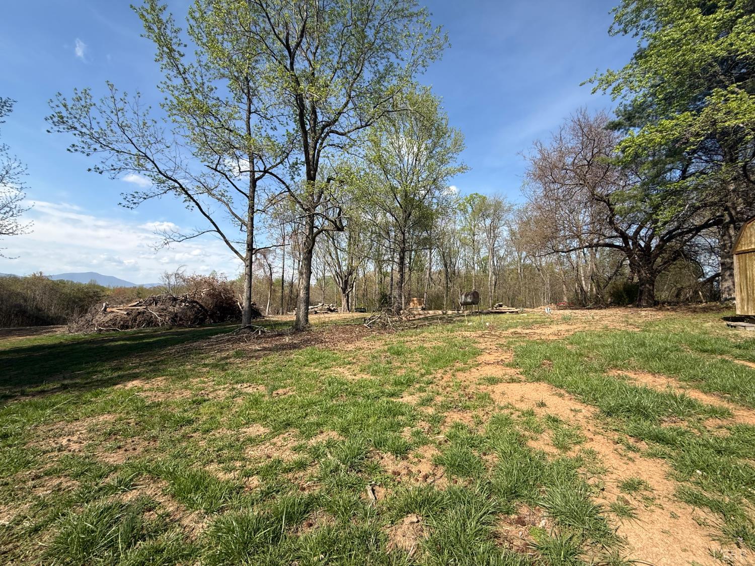 0 Link Road Bedford, VA 24523 - Photo 3 of 17 a view of yard with green space