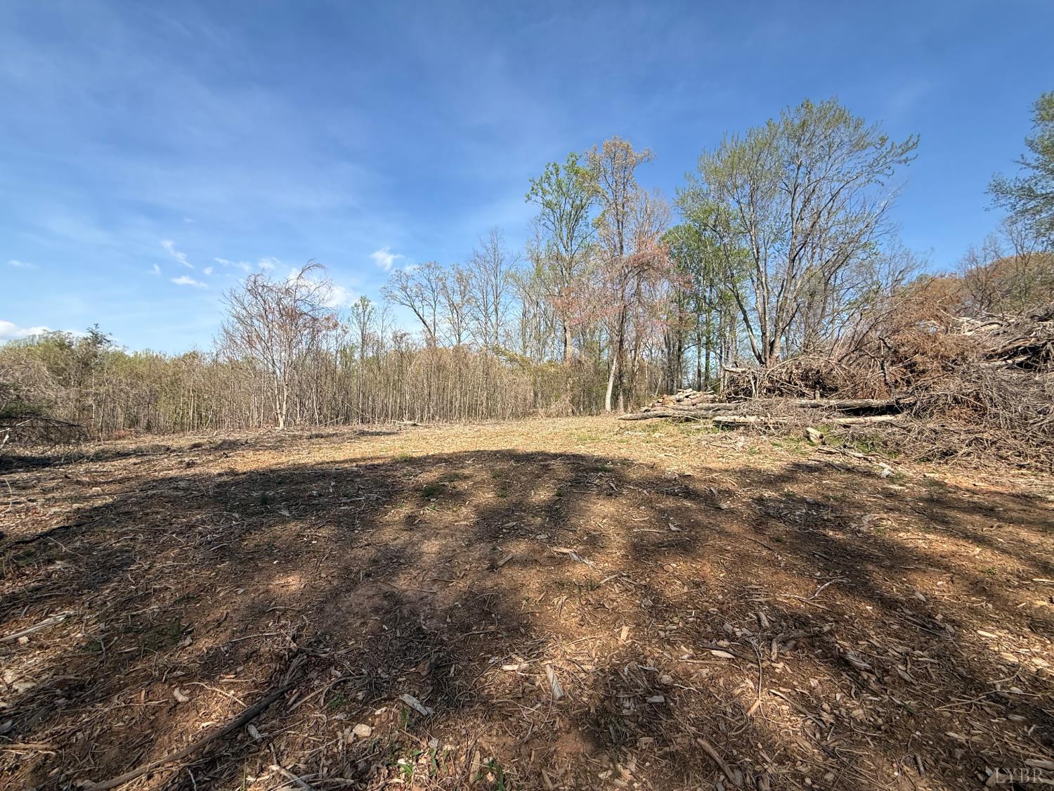 0 Link Road Bedford, VA 24523 - Photo 4 of 17 a view of dirt yard and a mountain