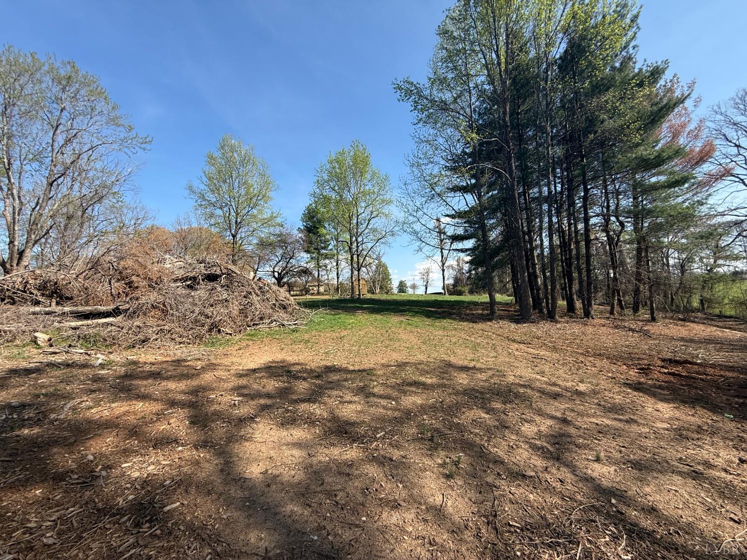 0 Link Road Bedford, VA 24523 - Photo 5 of 17 a view of large trees with open space