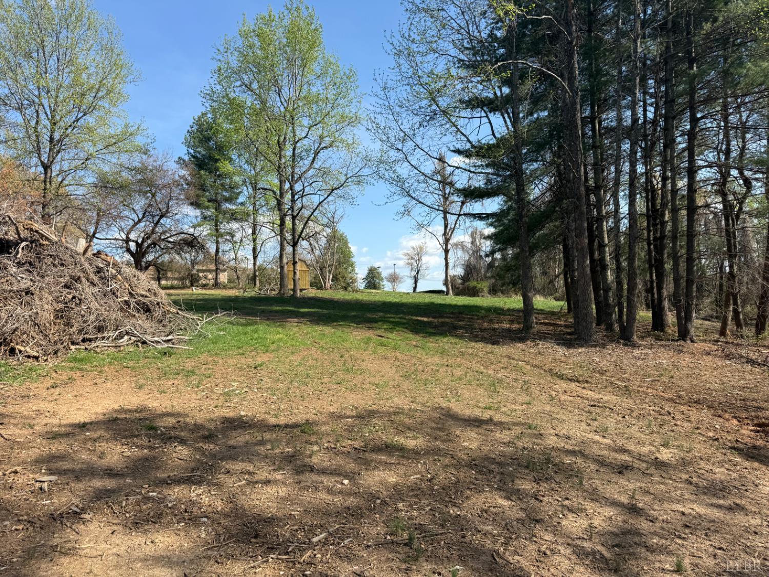 0 Link Road Bedford, VA 24523 - Photo 6 of 17 a view of a yard with a tree