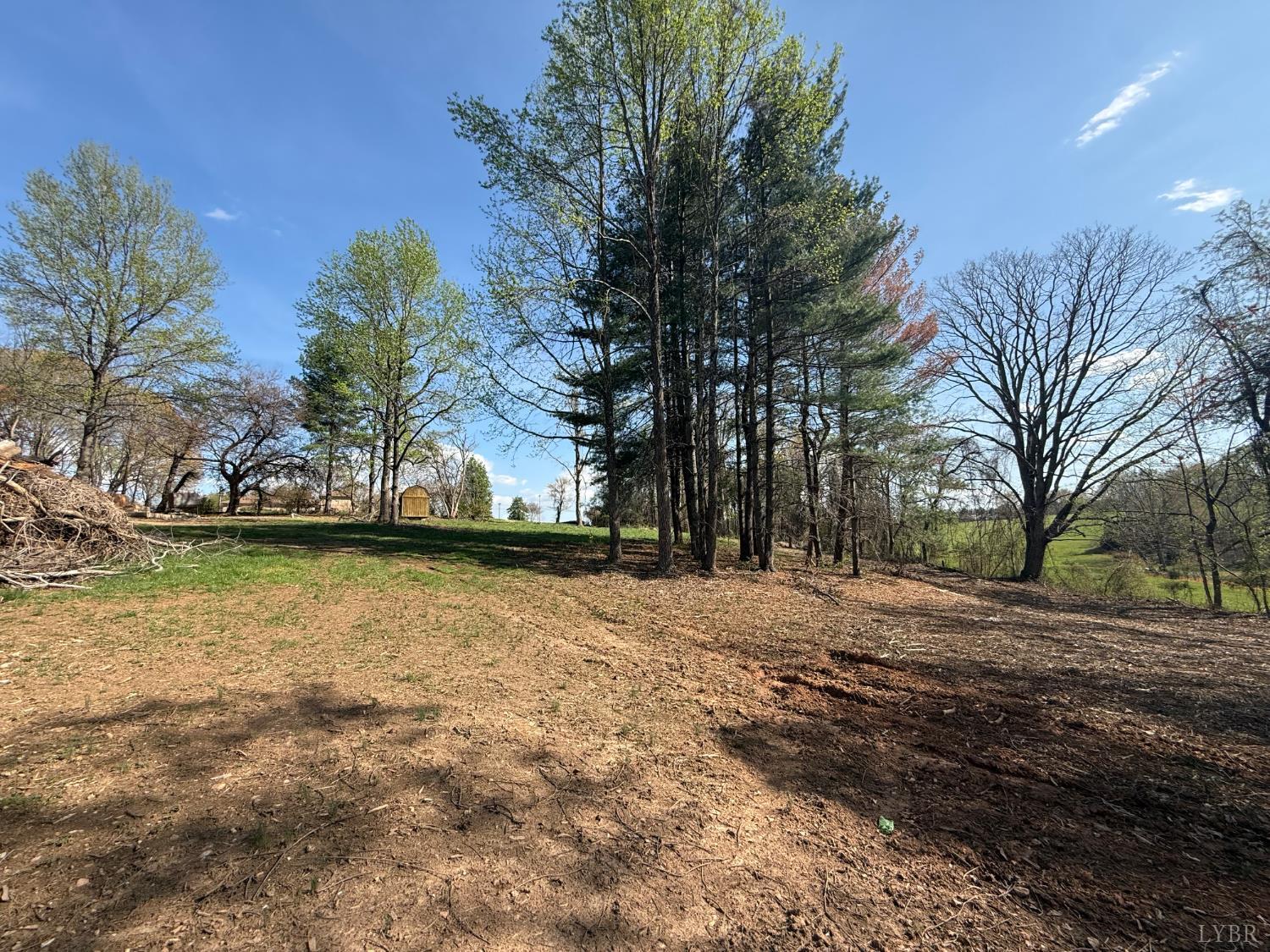 0 Link Road Bedford, VA 24523 - Photo 7 of 17 a view of dirt yard with a trees