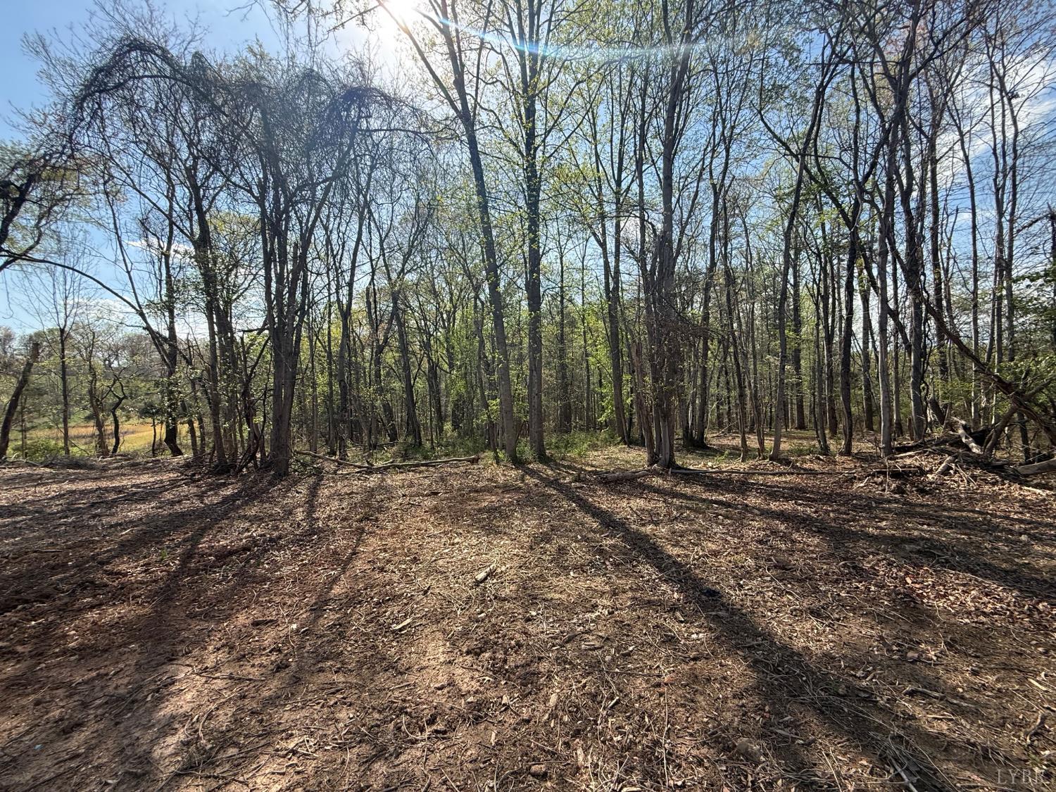0 Link Road Bedford, VA 24523 - Photo 8 of 17 a view of a backyard with large trees