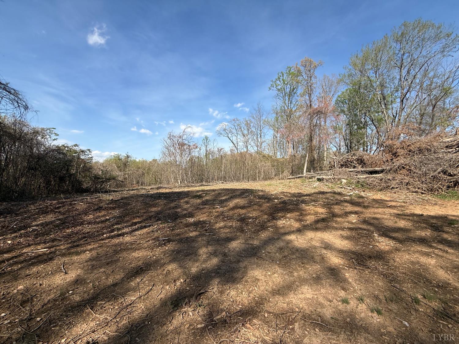 0 Link Road Bedford, VA 24523 - Photo 10 of 17 a view of dirt yard with a large tree