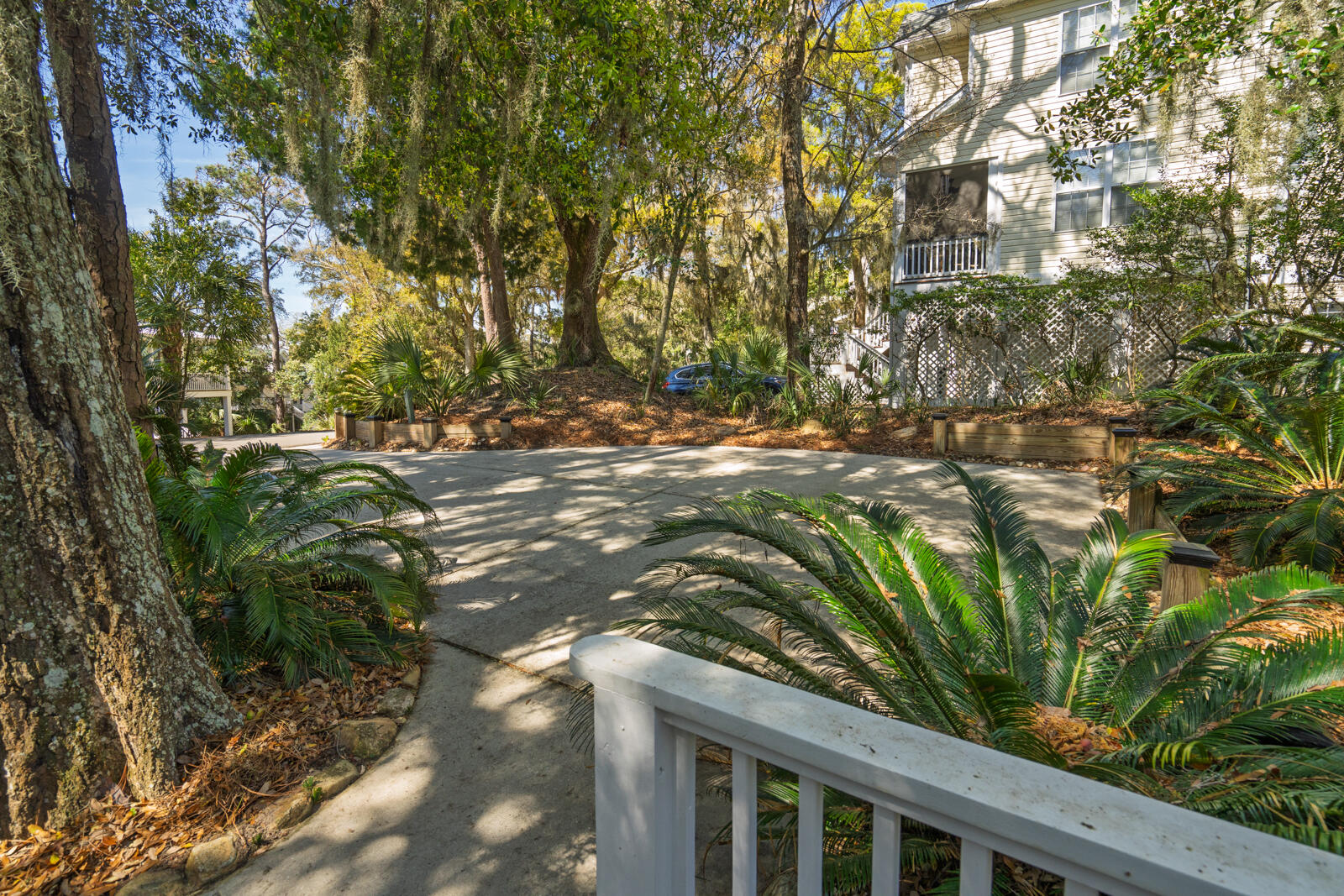 529 Oristo Ridge Edisto Island, SC 29438 - Photo 36 of 61 untitled-35