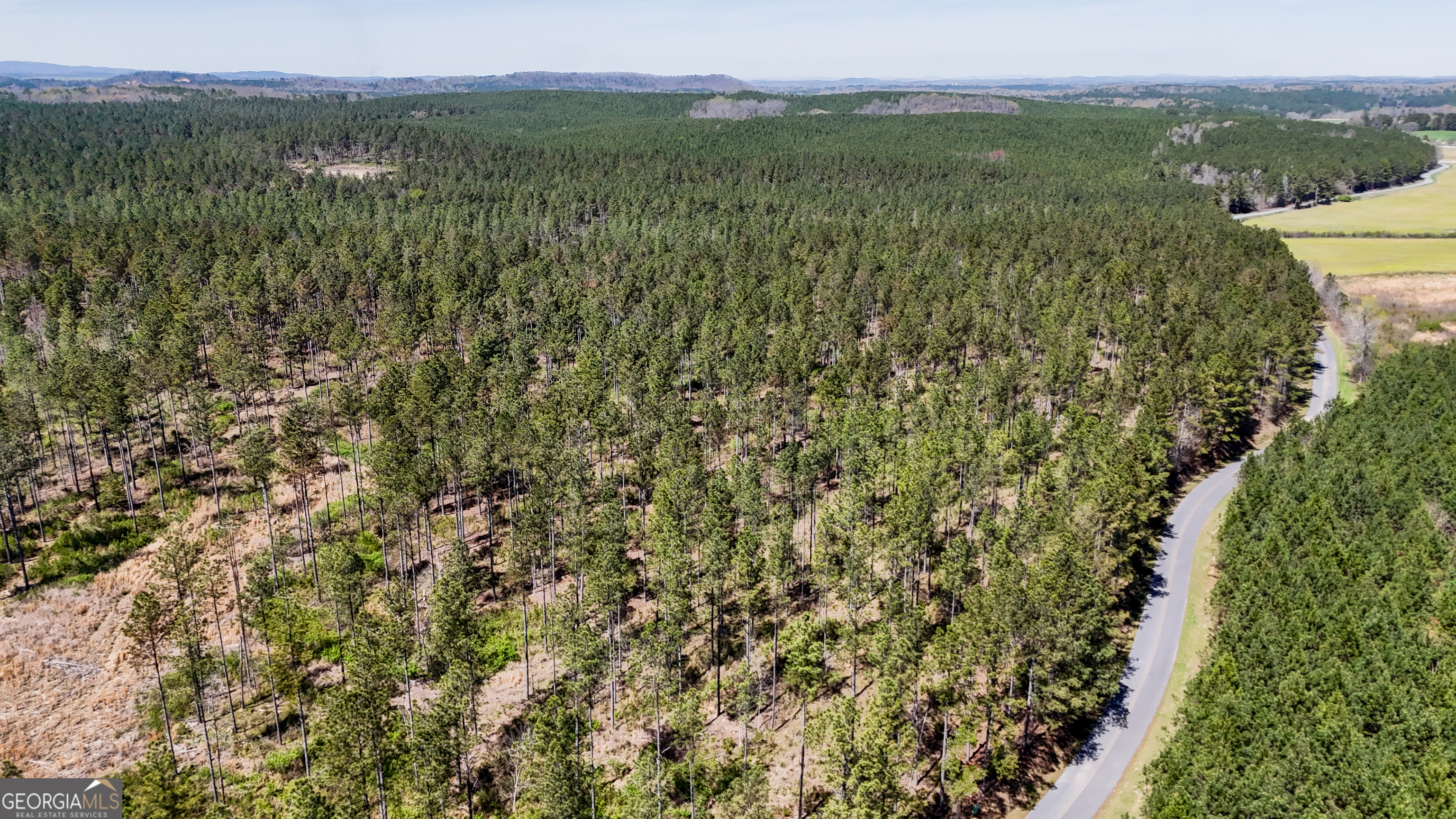 403-acres Youngs Farm Road Cedartown, GA 30125 - Photo 1 of 14