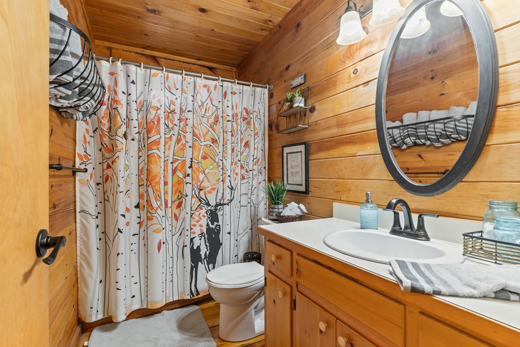 159 Pack Creek Road Blue Ridge, GA 30513 - Photo 39 of 42 Gallery Image 39