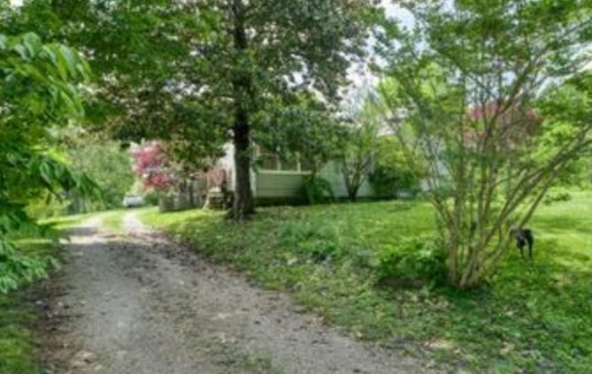 1207 Jaybird Road Monroe, TN 38573 - Photo 7 of 8 a view of a yard with a tree