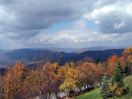 93 South Westridge Road Slatyfork, WV 26291 - Photo 1 of 7 dallas1