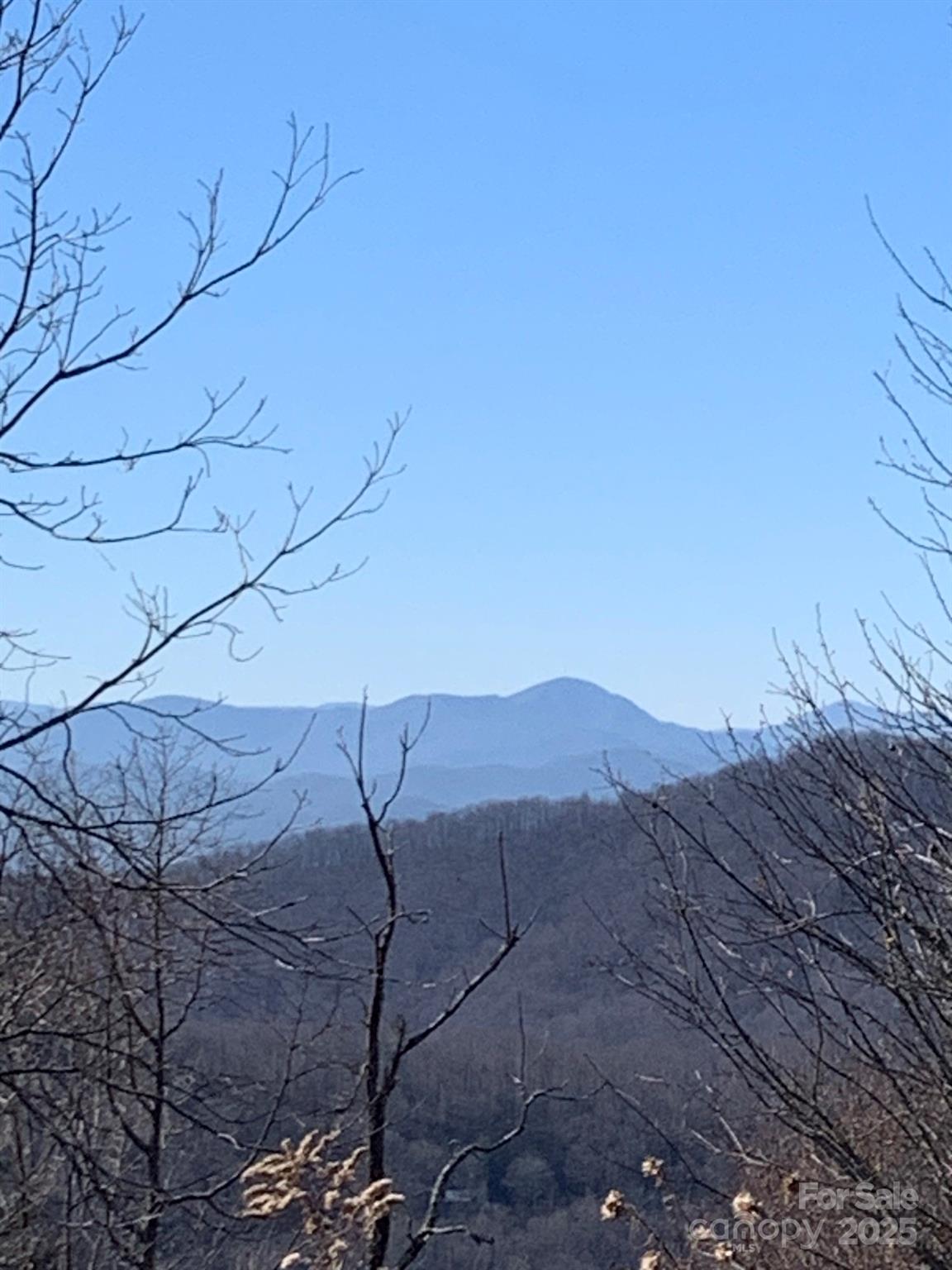 9999 Ebby Ridge Road, Unit 340 Fairview, NC 28730 - Photo 2 of 7