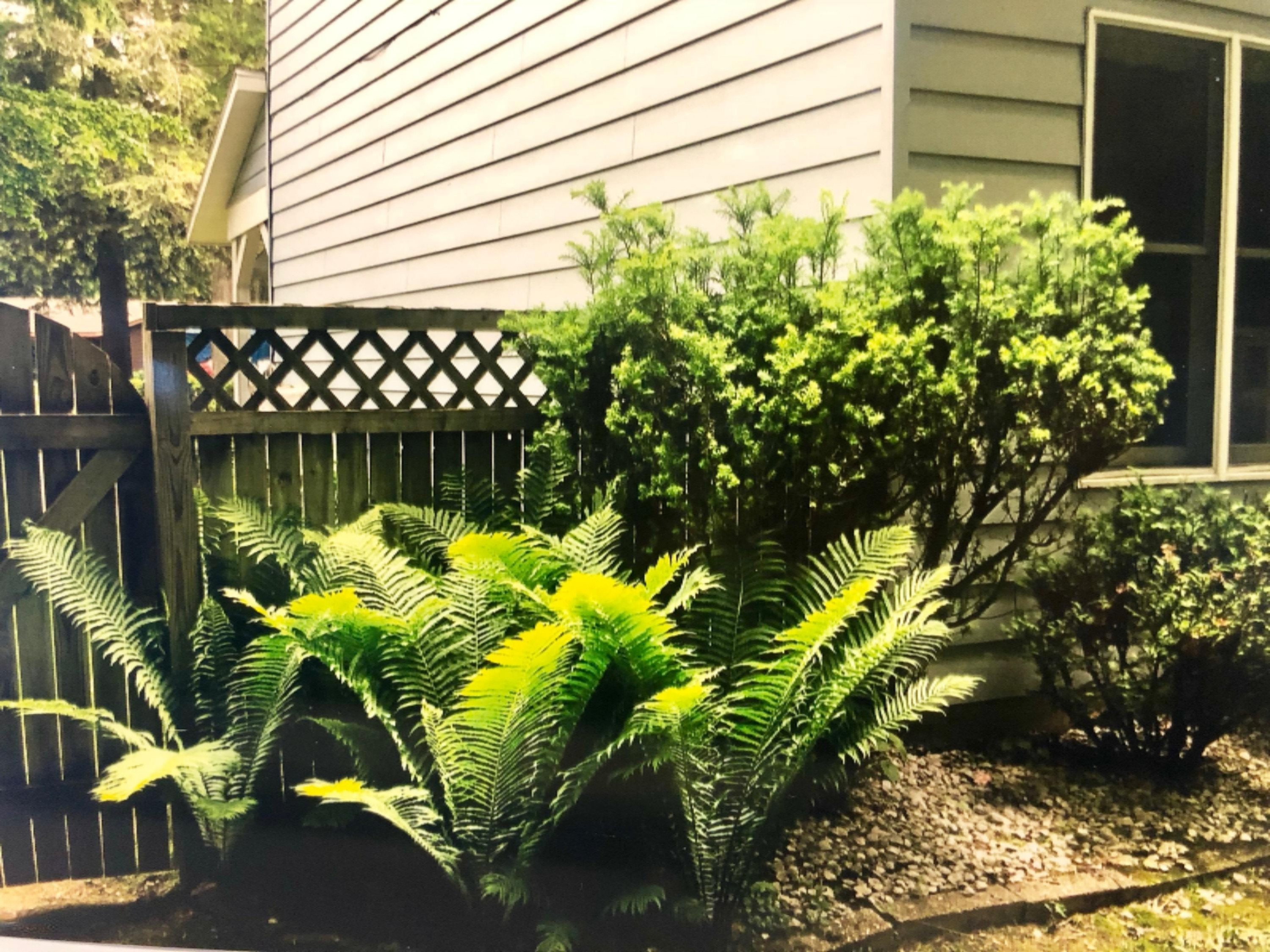 1349 Ivanhoe Road Ludington, MI 49431 - Photo 55 of 57 Backyard