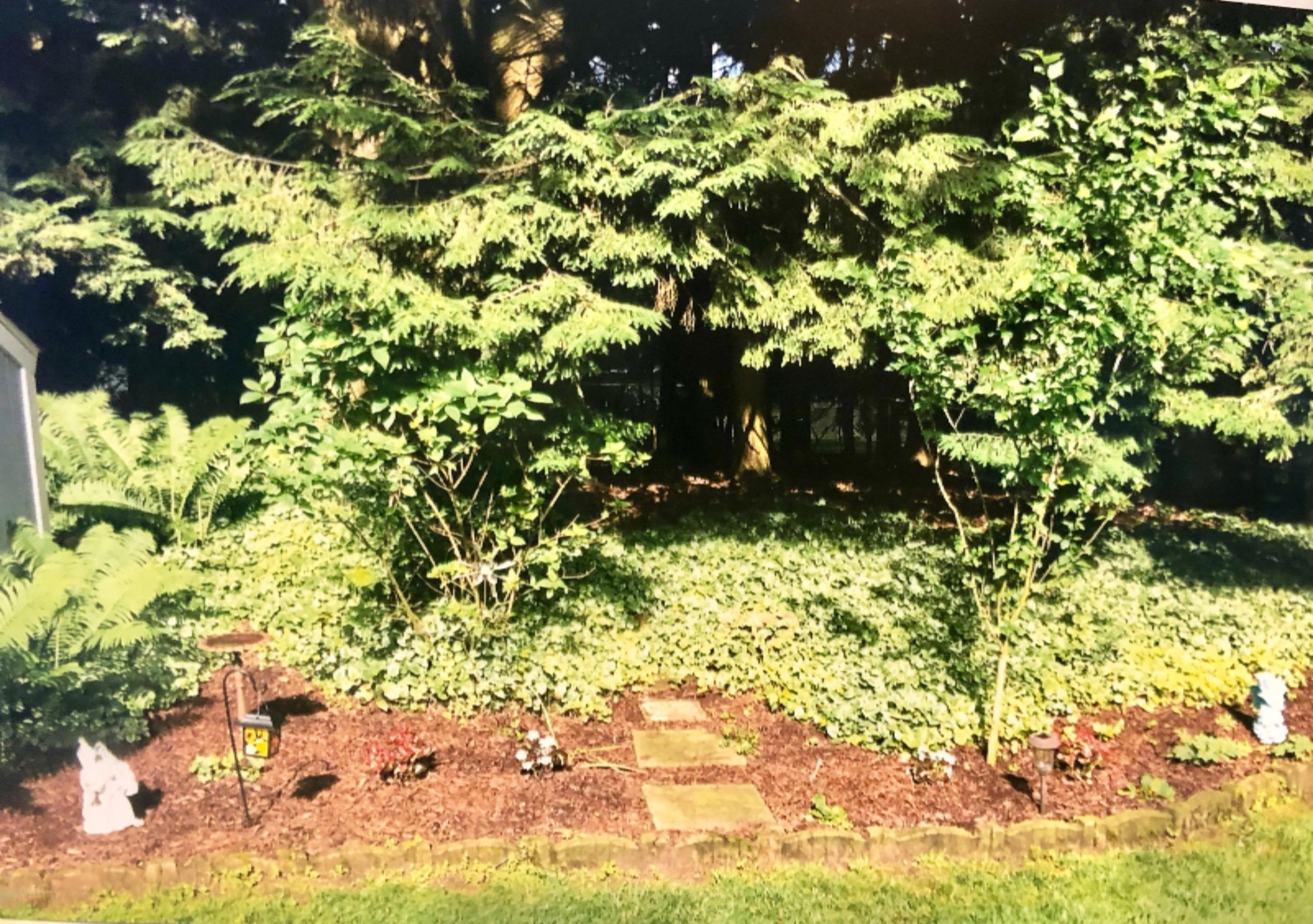 1349 Ivanhoe Road Ludington, MI 49431 - Photo 56 of 57 Yard