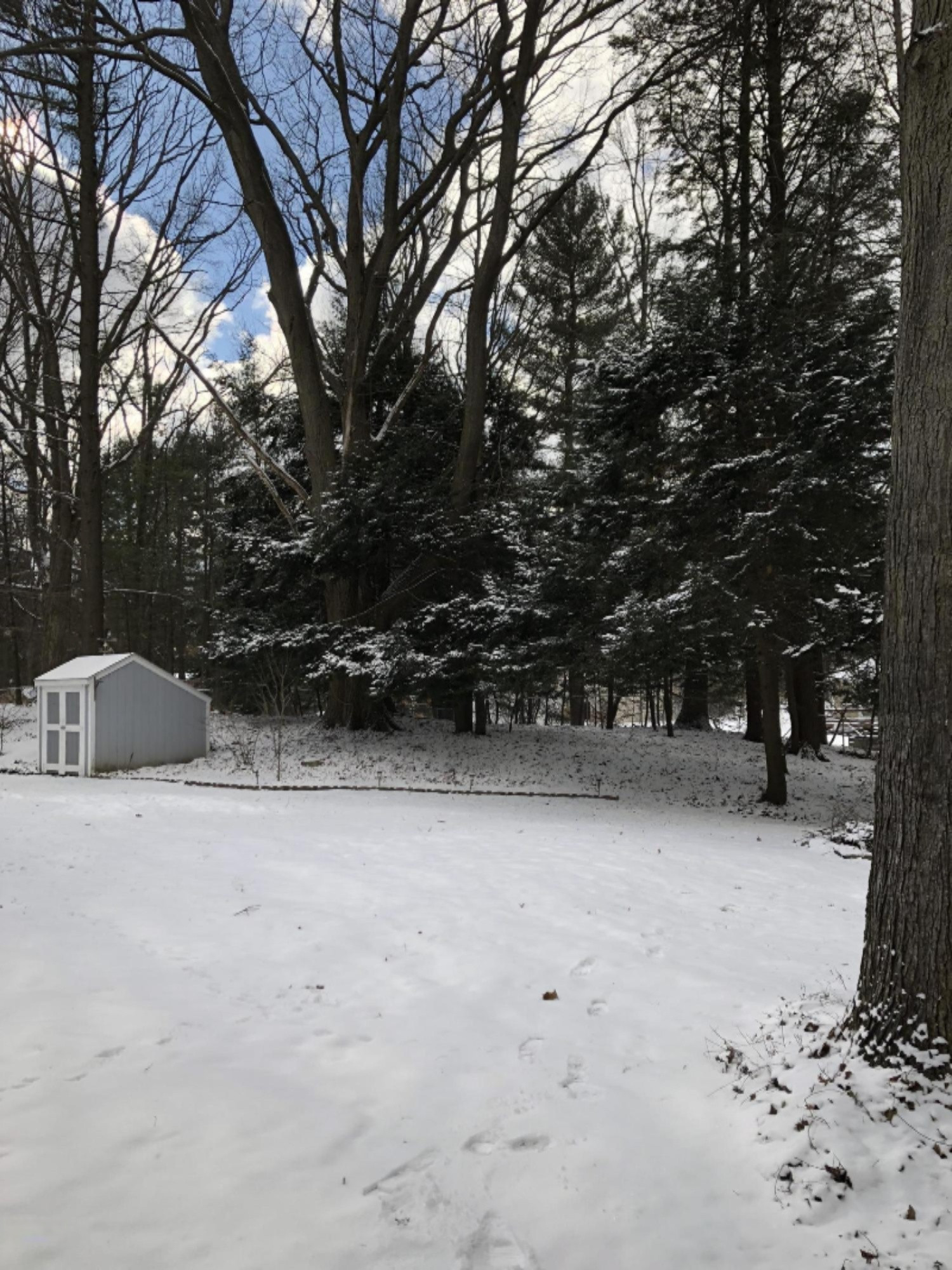 1349 Ivanhoe Road Ludington, MI 49431 - Photo 6 of 57 Yard View
