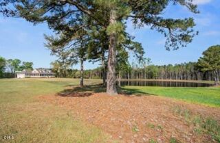 5780 McArthur Road Broadway, NC 27505 - Photo 40 of 40 IMG_0033