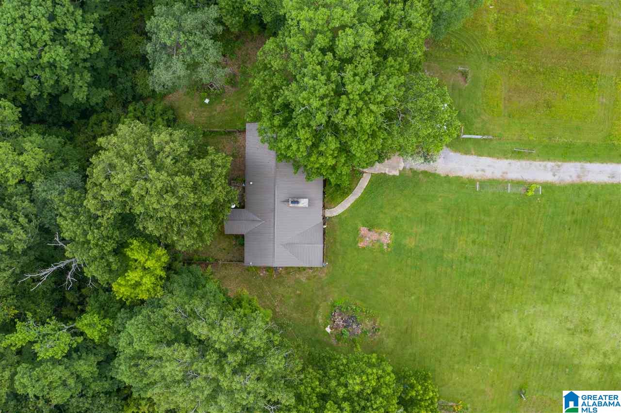 246 Wilson Mountain Road Falkville, AL 35622 - Photo 9 of 11