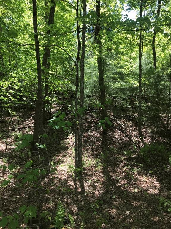 0 Fox Run Lane Blue Ridge, GA 30513 - Photo 1 of 1