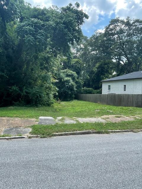 a view of a yard with a large tree