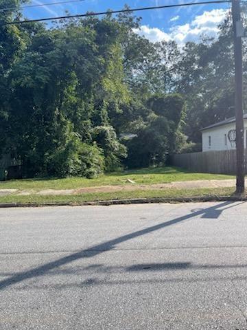 1520 Mims Street Southwest Atlanta, GA 30314 - Photo 3 of 3 a view of a house with a big yard and large trees
