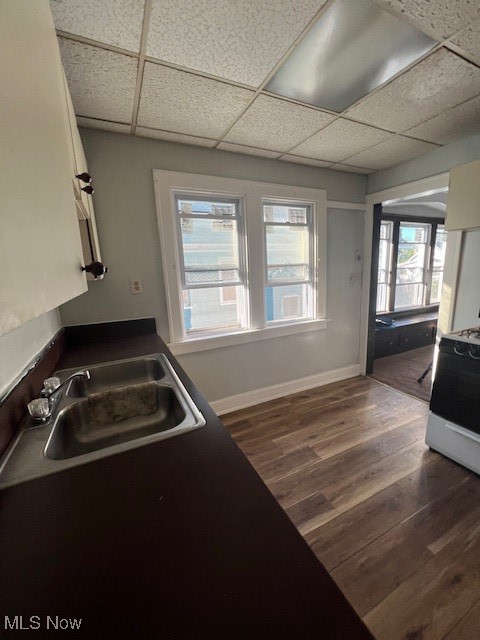 1842 Colonnade Road Cleveland, OH 44112 - Photo 41 of 47 Kitchen with dark wood-type flooring, sink, range, and a wealth of natural light