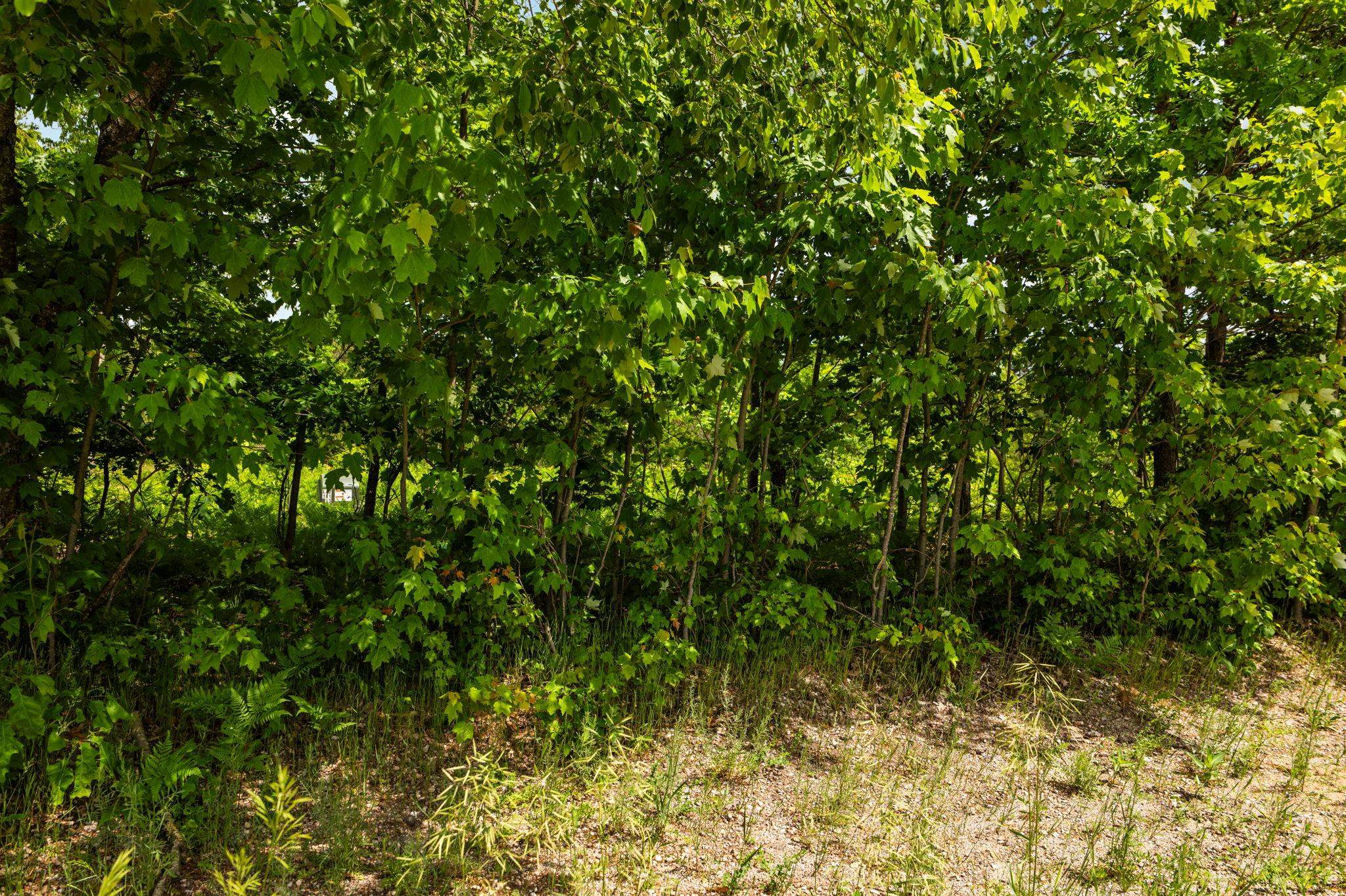 Parcel D North Carmean Road Interlochen, MI 49643 - Photo 40 of 40 Gallery Image 40