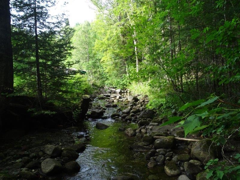1224 Flanders Brook Road Bradford, VT 05040 - Photo 13 of 32