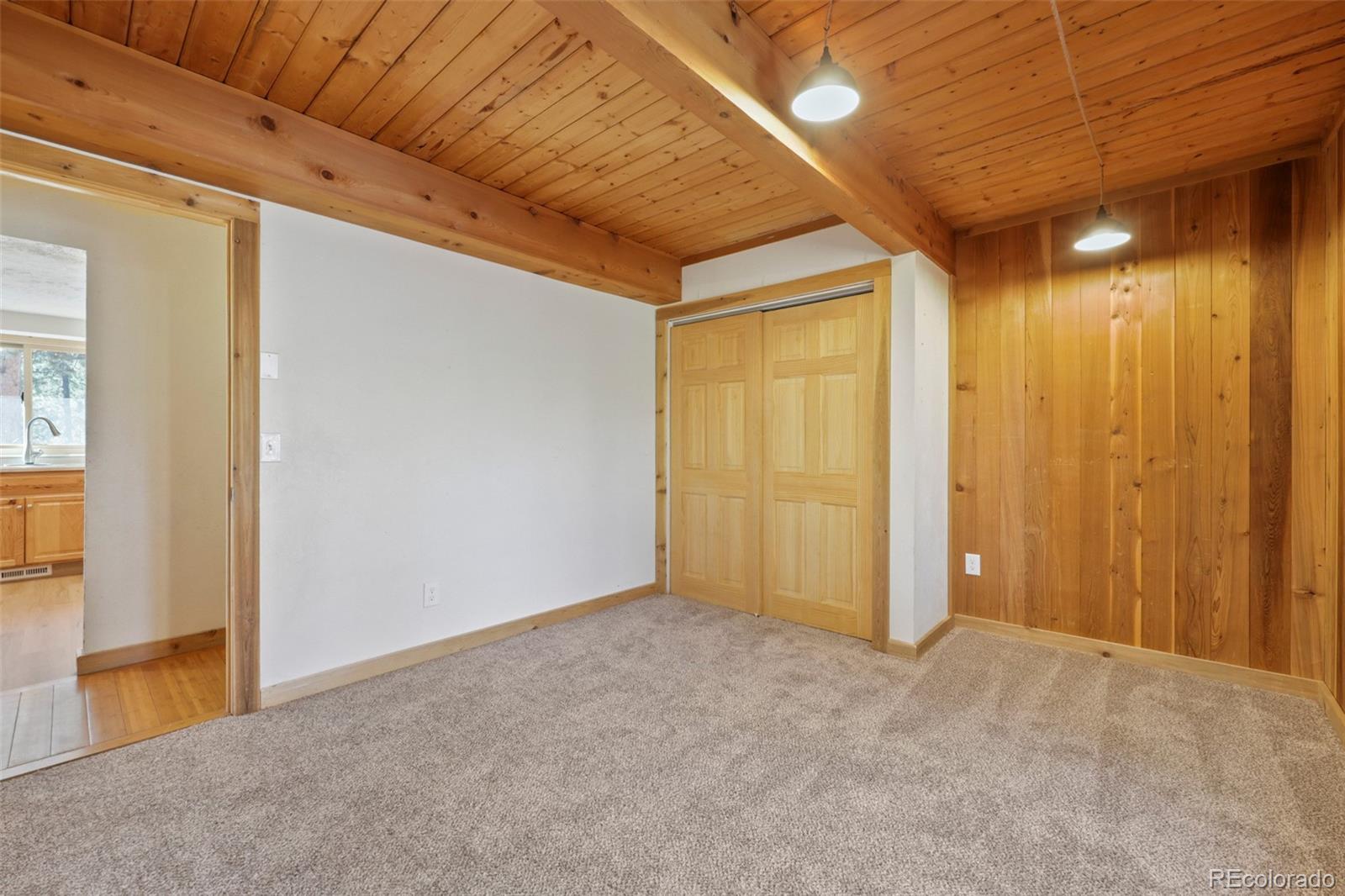 436 Dawson Road Pine, CO 80470 - Photo 10 of 43 Gallery Image 10