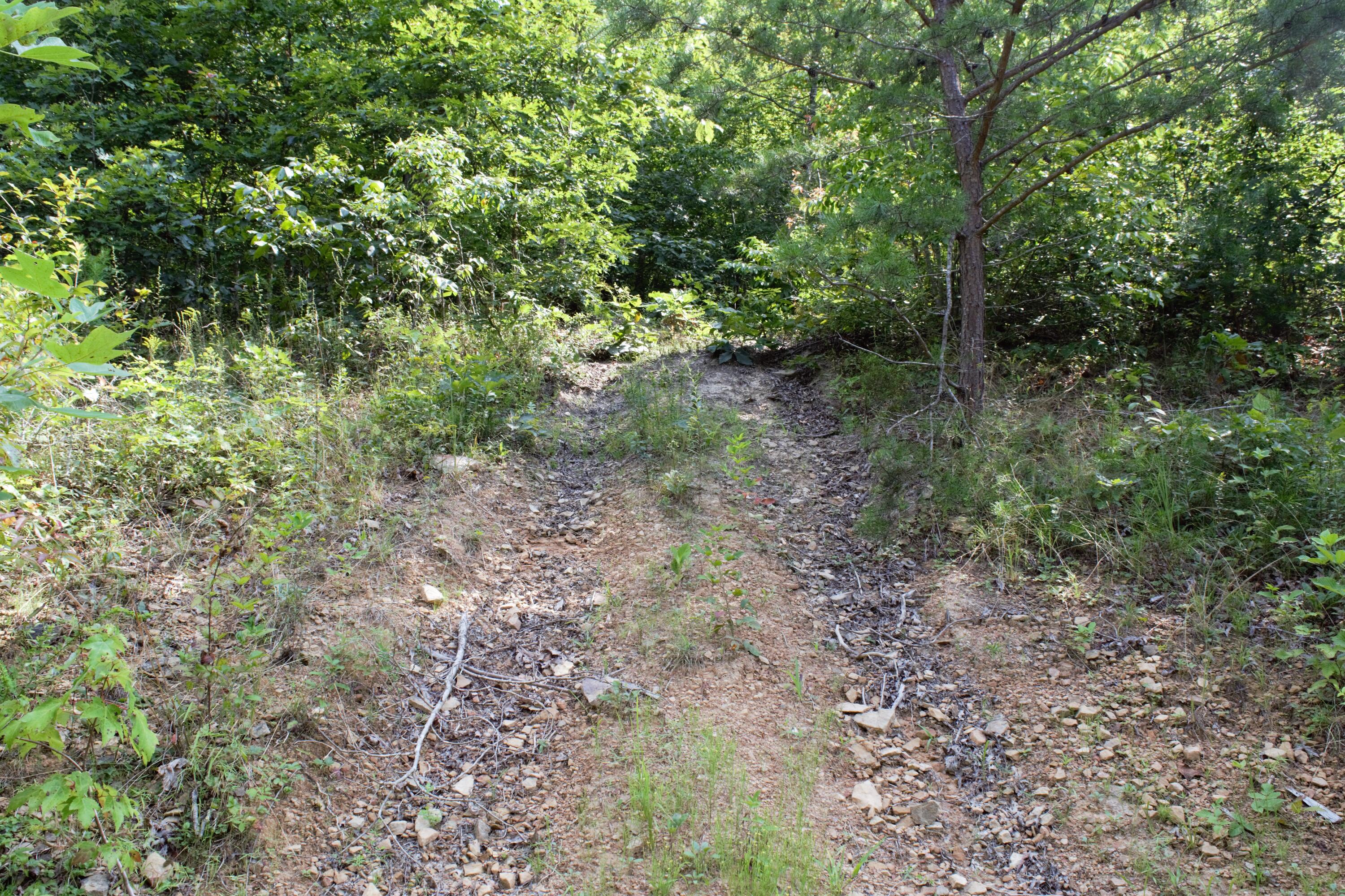 778 Rock Fork Road Morehead, KY 40351 - Photo 22 of 25 trails 8-87