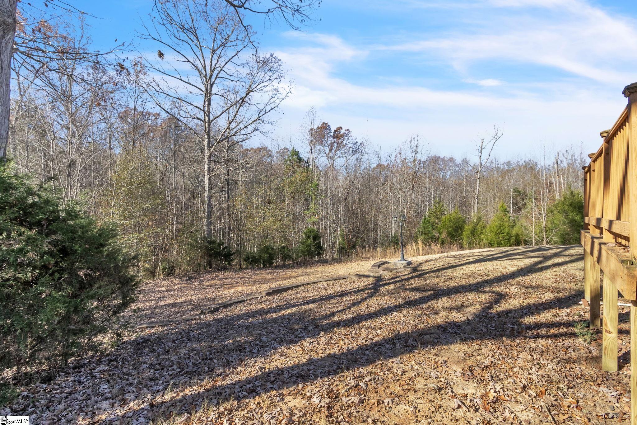 403 Opie Tree Court Fountain Inn, SC 29644 - Photo 28 of 28 Gallery Image 28