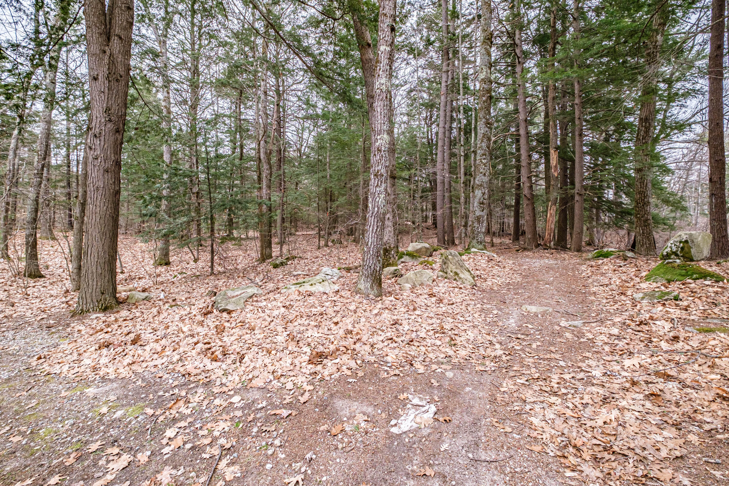 104 Basin Road Windham, ME 04062 - Photo 109 of 138 20220426gp-60095