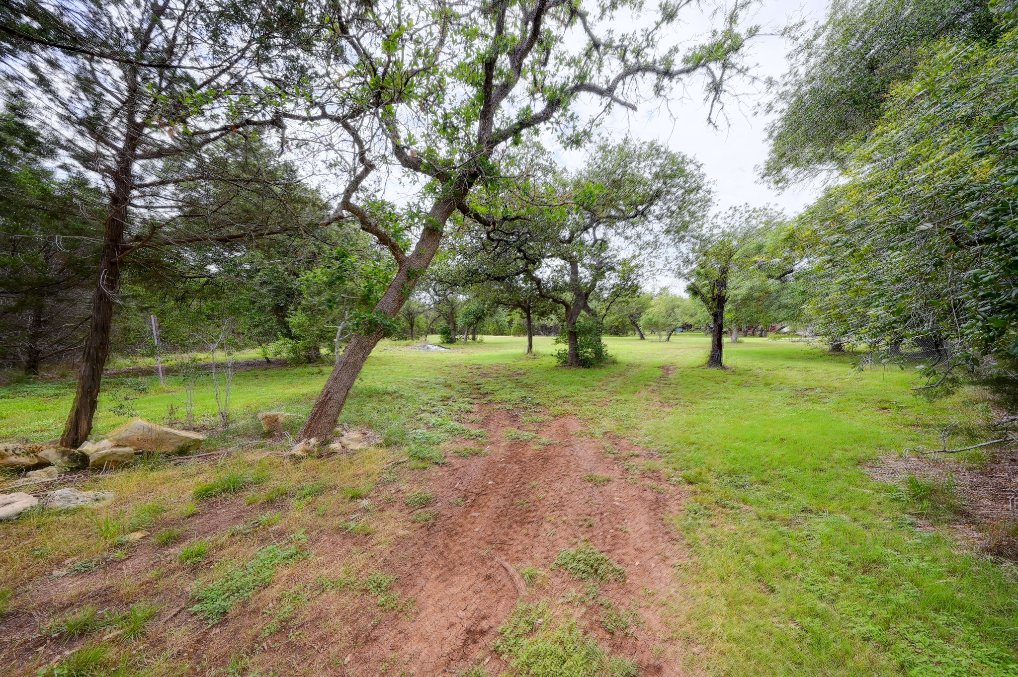 231 North Rainbow Ranch Road Wimberley, TX 78676 - Photo 32 of 40 A verdant, tree-lined meadow offers a peaceful setting for your future homestead.