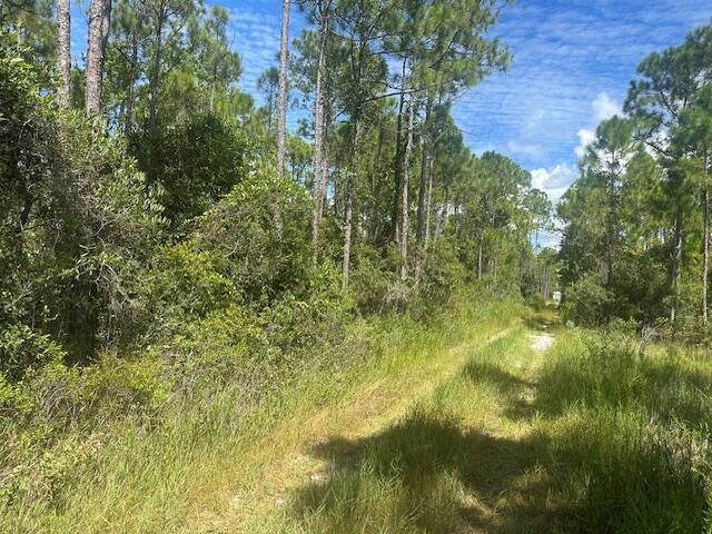 Xxx Foxmire Farm Road Santa Rosa Beach, FL 32459 - Photo 3 of 4 a view of a yard