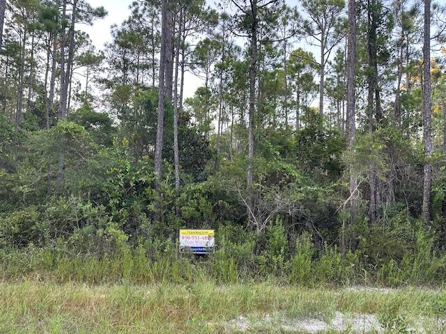 Xxx Foxmire Farm Road Santa Rosa Beach, FL 32459 - Photo 4 of 4 a view of a forest with a tree