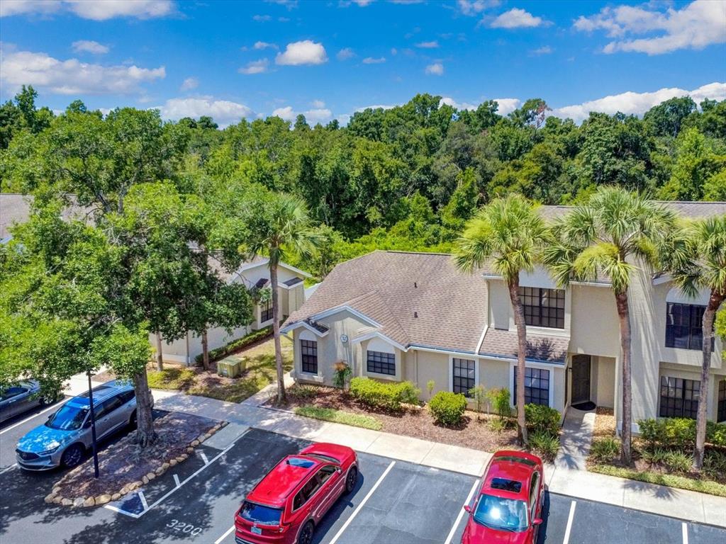 5100 Burchette Road, Unit 3200 Tampa, FL 33647 - Photo 50 of 61