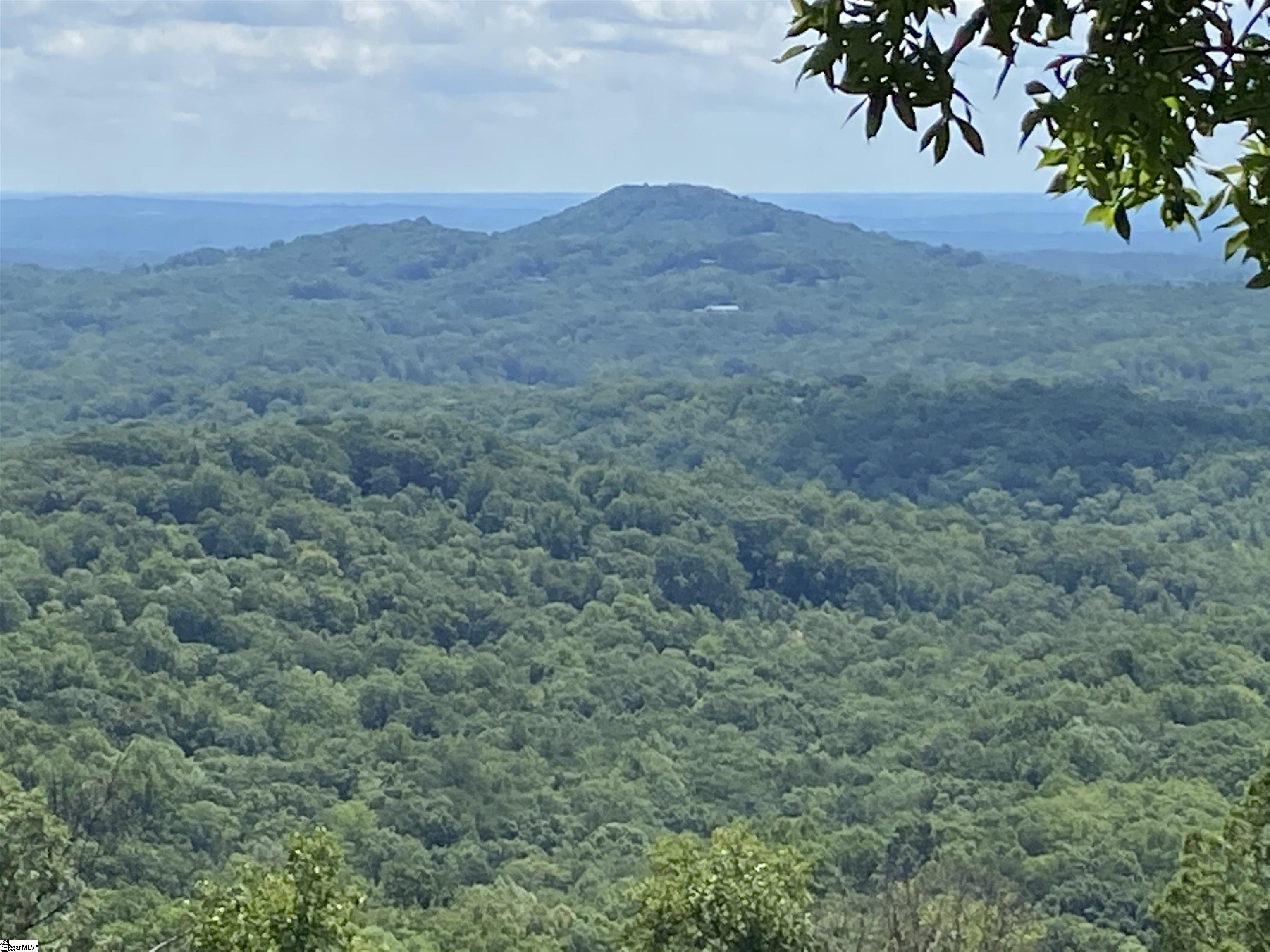 1671 Hogback Mountain Road Tryon, NC 28782 - Photo 6 of 48