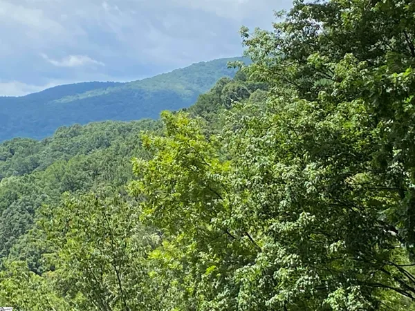 $3,750 | 1671 Hogback Mountain Road, Tryon, NC 28782