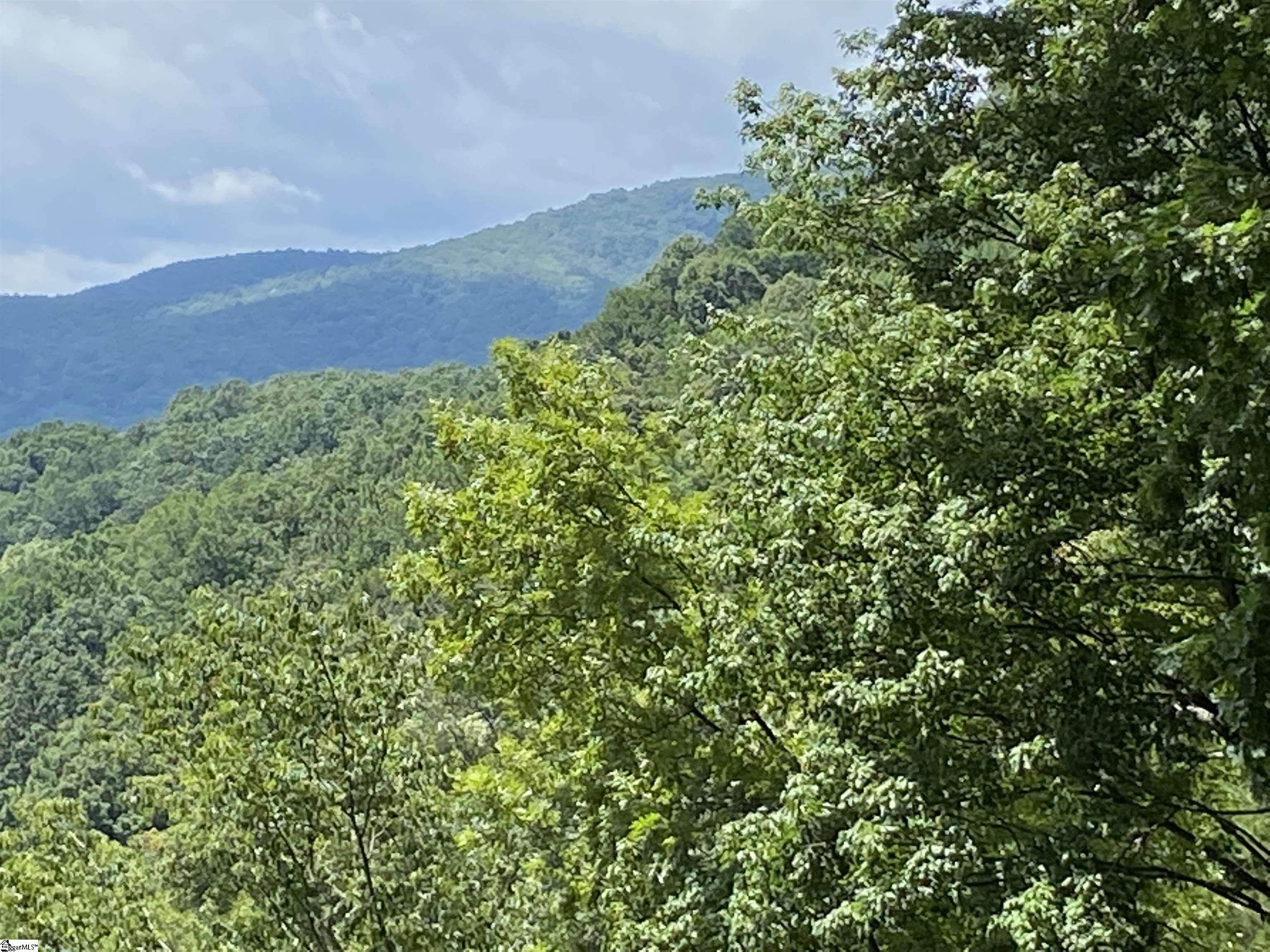 1671 Hogback Mountain Road Tryon, NC 28782 - Photo 7 of 48