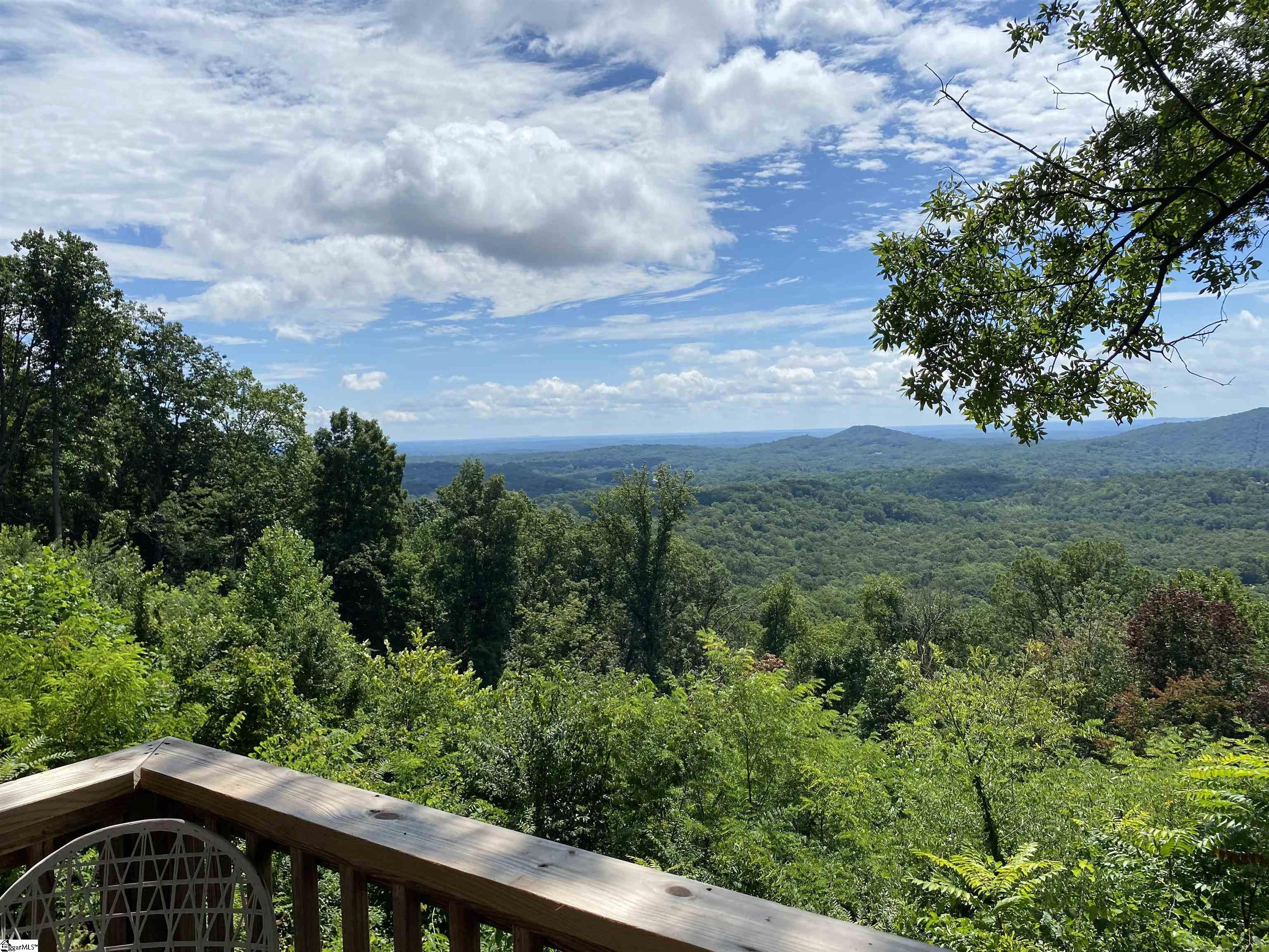 1671 Hogback Mountain Road Tryon, NC 28782 - Photo 9 of 48