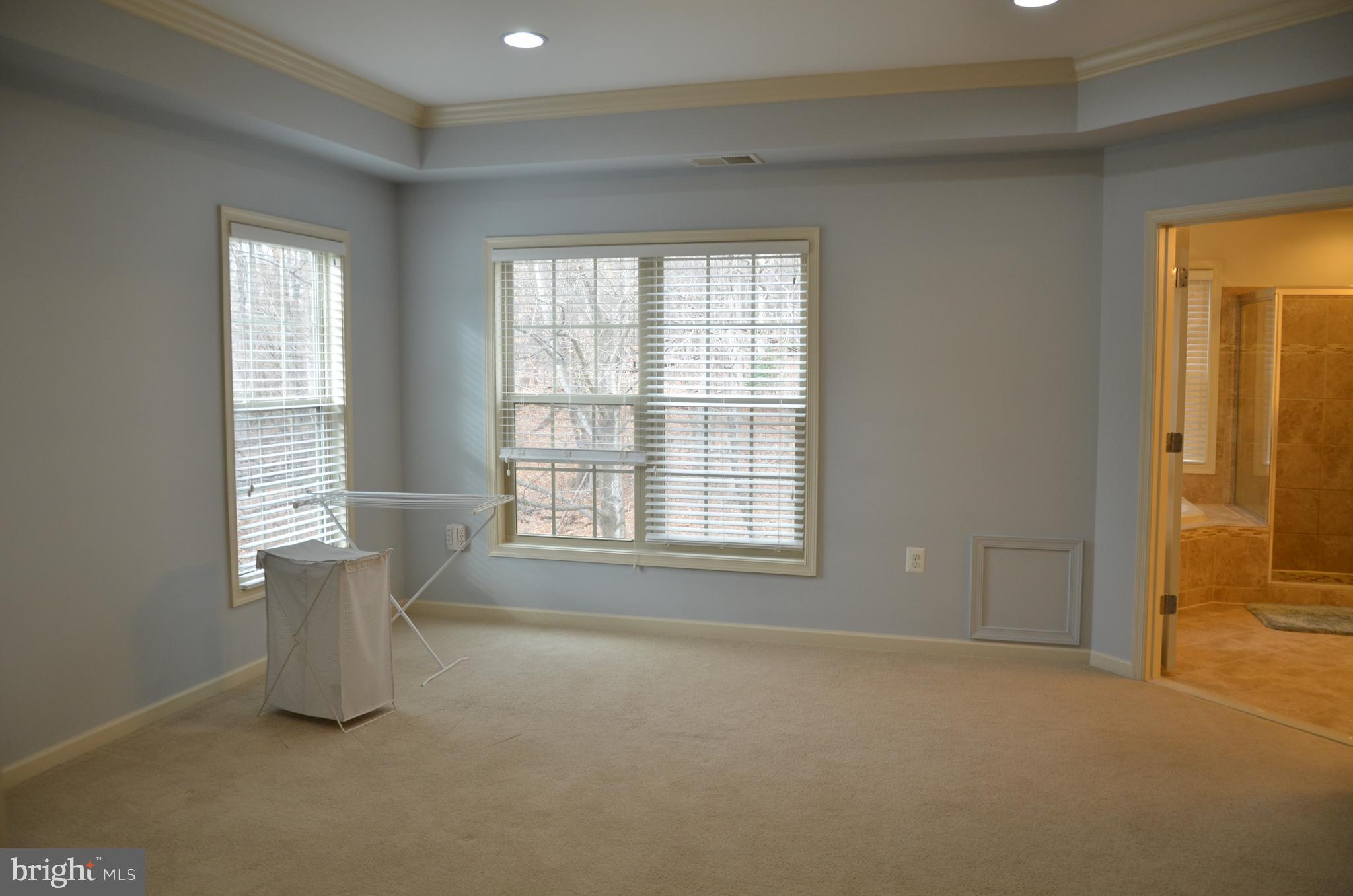 1551 Rabbit Hollow Place Silver Spring, MD 20906 - Photo 25 of 43