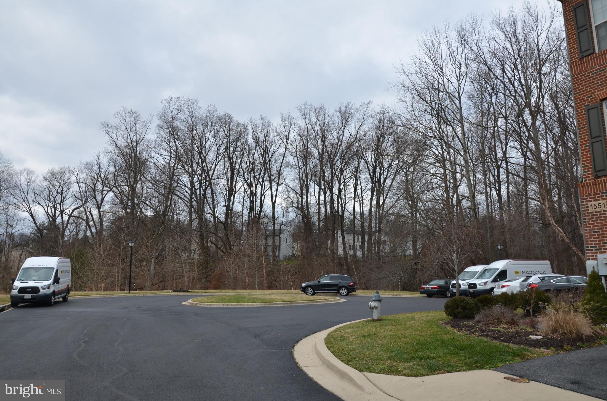 1551 Rabbit Hollow Place Silver Spring, MD 20906 - Photo 6 of 43