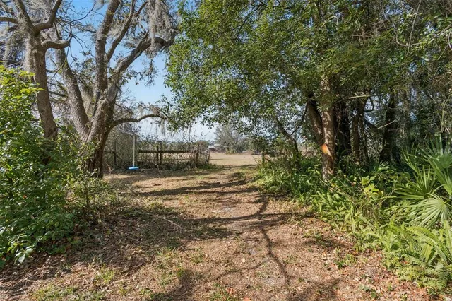 a backyard of a house with a trees