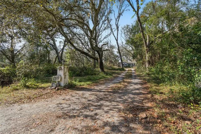 a view of a tree in the middle of a yard